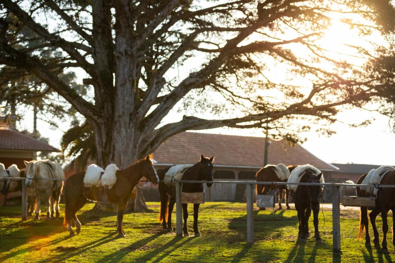 Cerro Azul Hotel Fazenda Capao Alto Экстерьер фото